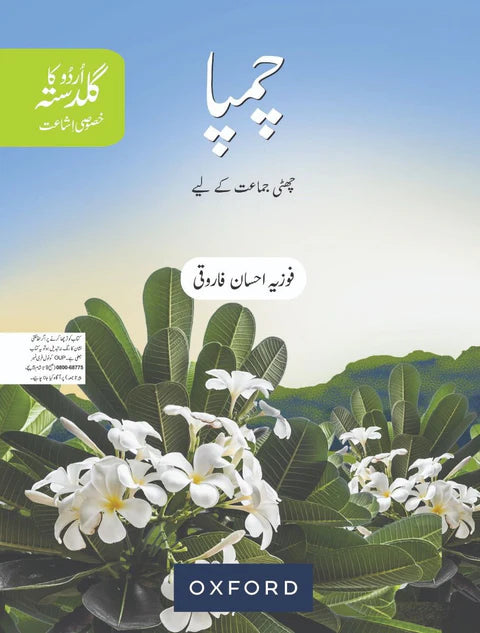 📚 Grade 6 Complete Books & Workbooks Set