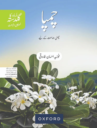 📚 Grade 6 Complete Books & Workbooks Set