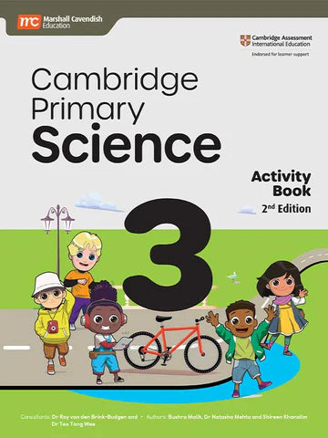 📚 Grade 3 Complete Books & Workbooks Set